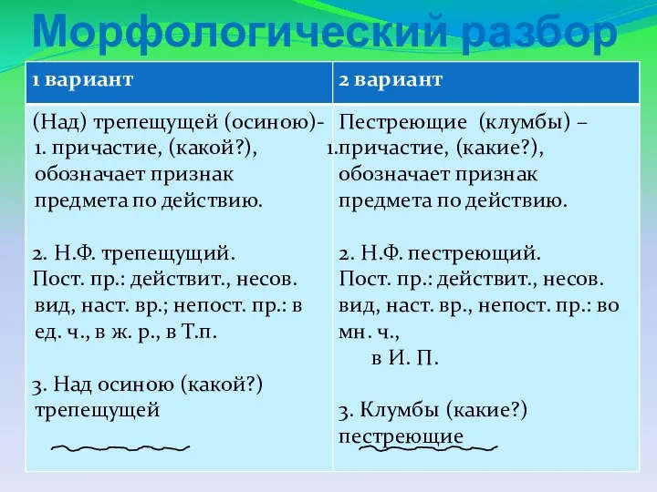 Морфологический разбор