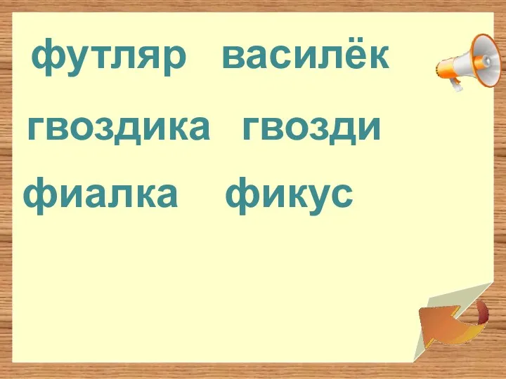 василёк футляр гвоздика фиалка гвозди фикус