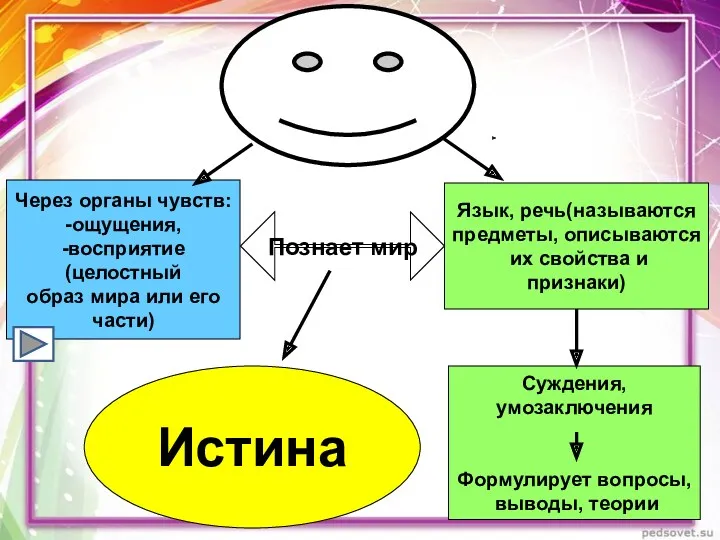 Через органы чувств: -ощущения, -восприятие (целостный образ мира или его