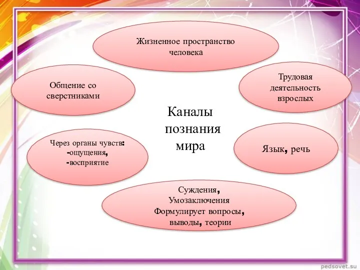 Каналы познания мира Жизненное пространство человека Суждения, Умозаключения Формулирует вопросы,