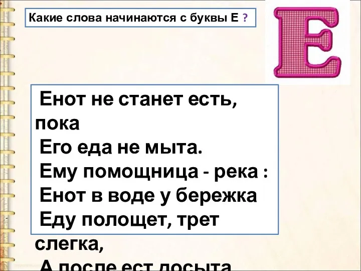 Енот не станет есть, пока Его еда не мыта. Ему