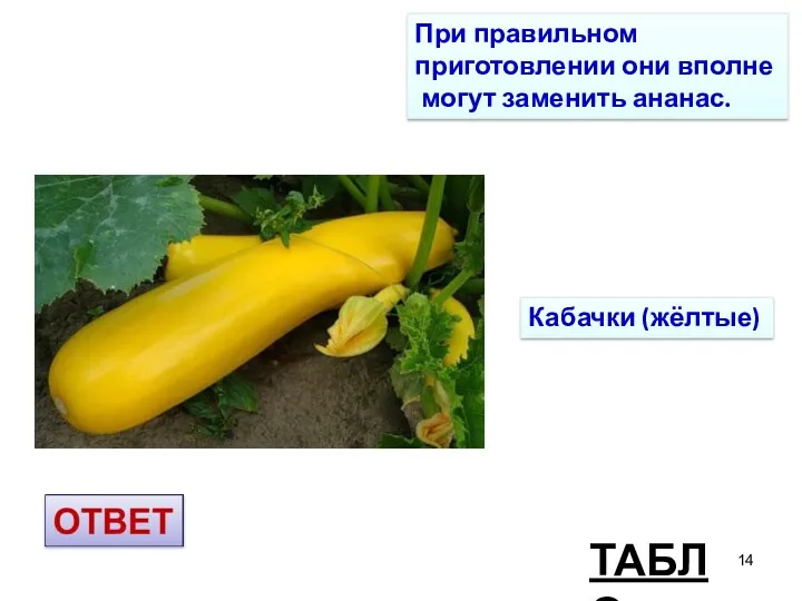 ТАБЛО Кабачки (жёлтые) При правильном приготовлении они вполне могут заменить ананас.
