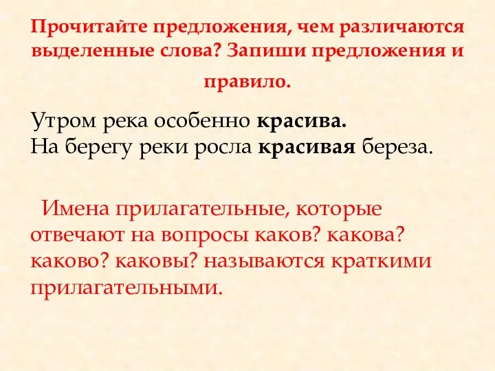 Прочитайте предложения, чем различаются выделенные слова? Запиши предложения и правило.