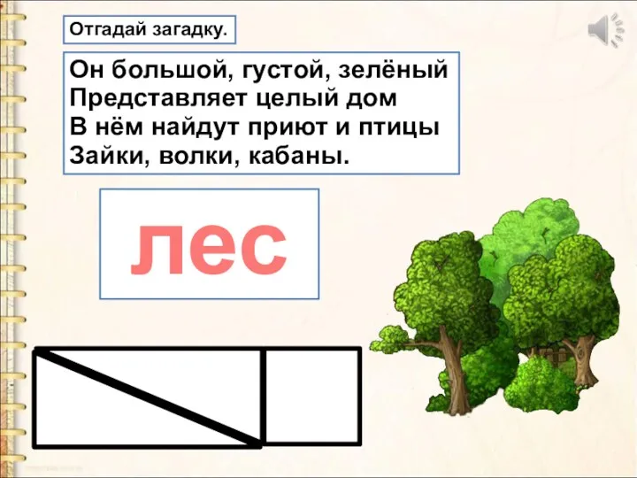 Он большой, густой, зелёный Представляет целый дом В нём найдут