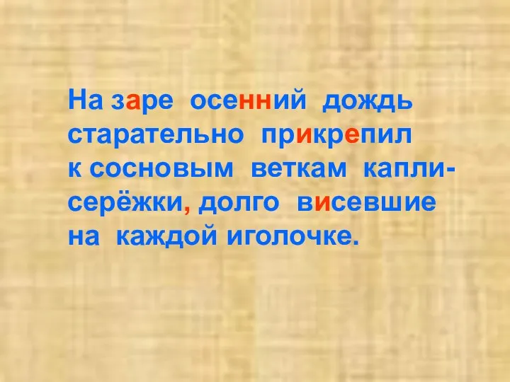 На заре осенний дождь старательно прикрепил к сосновым веткам капли-серёжки, долго висевшие на каждой иголочке.