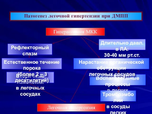 Патогенез легочной гипертензии при ДМПП Вторичные изменения в легочных сосудах