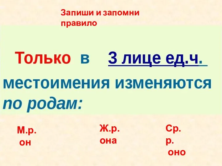 Запиши и запомни правило М.р. он Ж.р. она Ср.р. оно