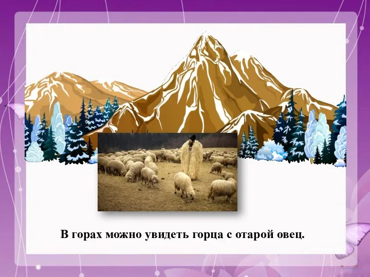 В горах можно увидеть горца с отарой овец.