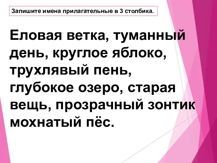 Запишите имена прилагательные в 3 столбика. Еловая ветка, туманный день,