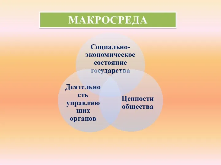 МАКРОСРЕДА