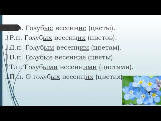 И.п. Голубые весенние (цветы). Р.п. Голубых весенних (цветов). Д.п. Голубым