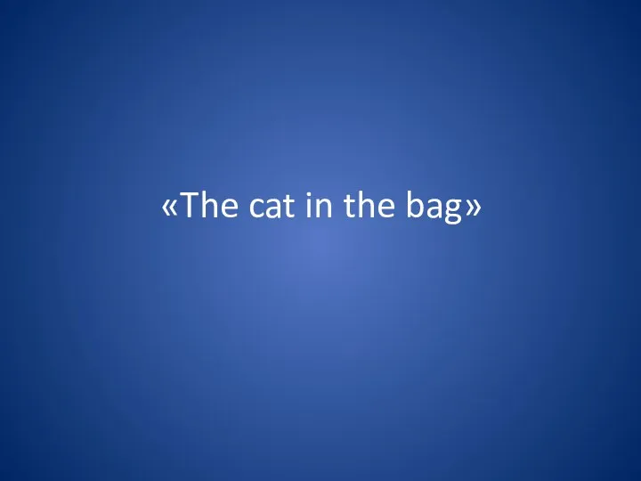 «The cat in the bag»