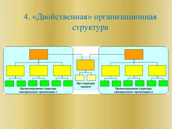 4. «Двойственная» организационная структура