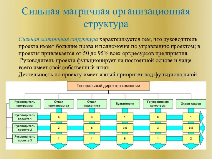 Сильная матричная организационная структура Сильная матричная структура характеризуется тем, что