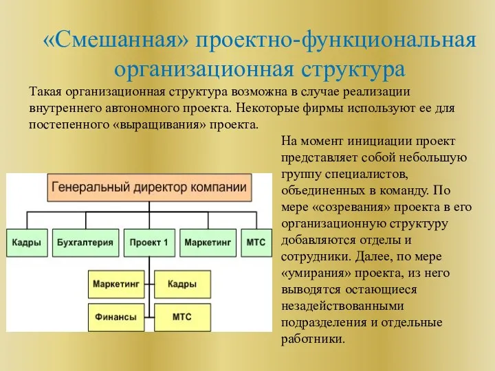 «Смешанная» проектно-функциональная организационная структура Такая организационная структура возможна в случае