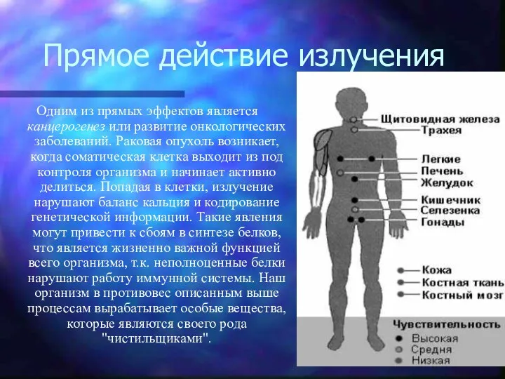 Прямое действие излучения Одним из прямых эффектов является канцерогенез или развитие онкологических заболеваний.