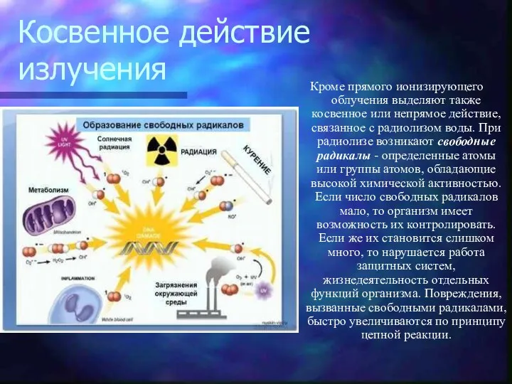 Косвенное действие излучения Кроме прямого ионизирующего облучения выделяют также косвенное или непрямое действие,