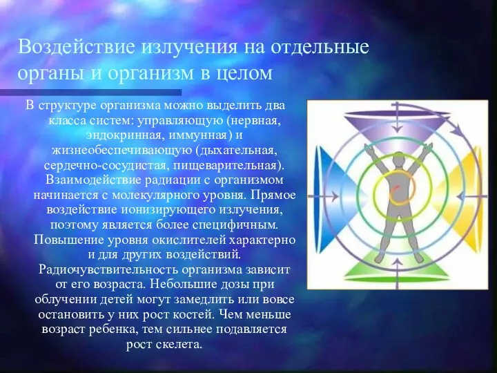 Воздействие излучения на отдельные органы и организм в целом В структуре организма можно