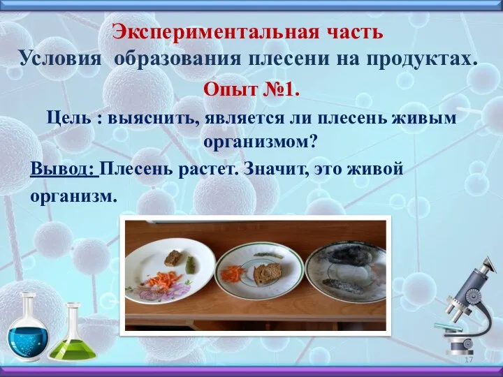 Экспериментальная часть Условия образования плесени на продуктах. Опыт №1. Цель