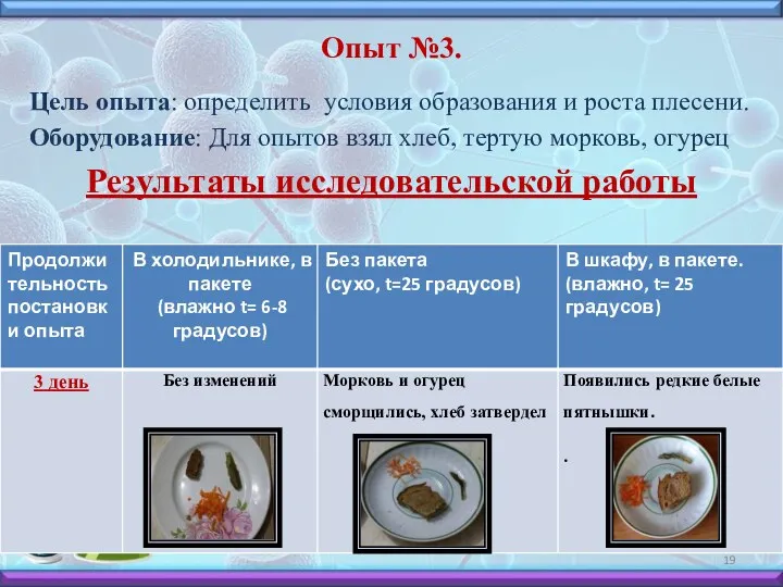 Опыт №3. Цель опыта: определить условия образования и роста плесени.