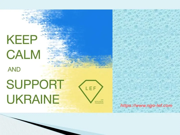 Non-Governmental Organization LVIV ECOLOGICAL FOUNDATION https://www.ngo-lef.com