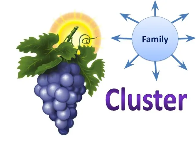 Cluster Family