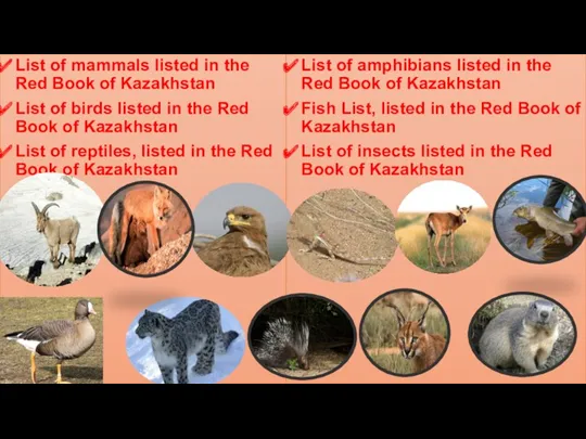 List of mammals listed in the Red Book of Kazakhstan List of birds