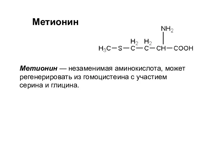 Метионин Метионин — незаменимая аминокислота, может регенерировать из гомоцистеина с участием серина и глицина.