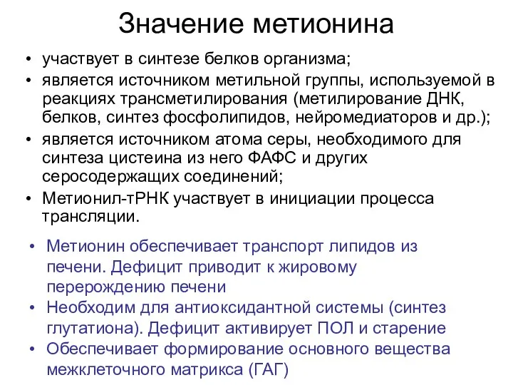 Значение метионина участвует в синтезе белков организма; является источником метильной