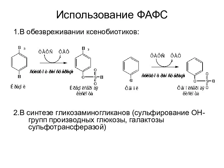 Использование ФАФС 1.В обезвреживании ксенобиотиков: 2.В синтезе гликозаминогликанов (сульфирование ОН-групп производных глюкозы, галактозы сульфотрансферазой)