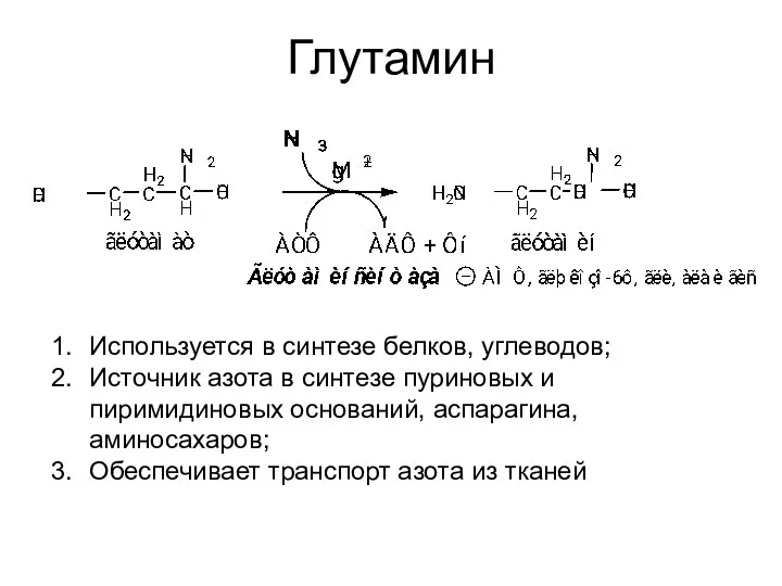 Глутамин Используется в синтезе белков, углеводов; Источник азота в синтезе