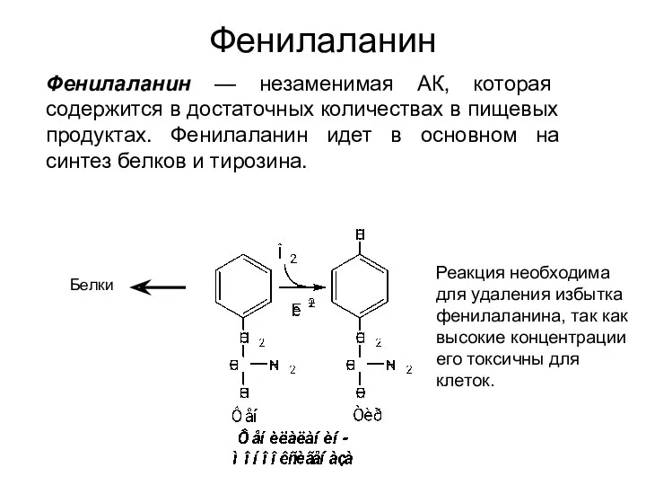 Фенилаланин Фенилаланин — незаменимая АК, которая содержится в достаточных количествах