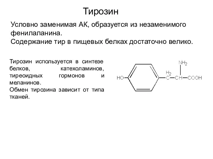 Условно заменимая АК, образуется из незаменимого фенилаланина. Содержание тир в