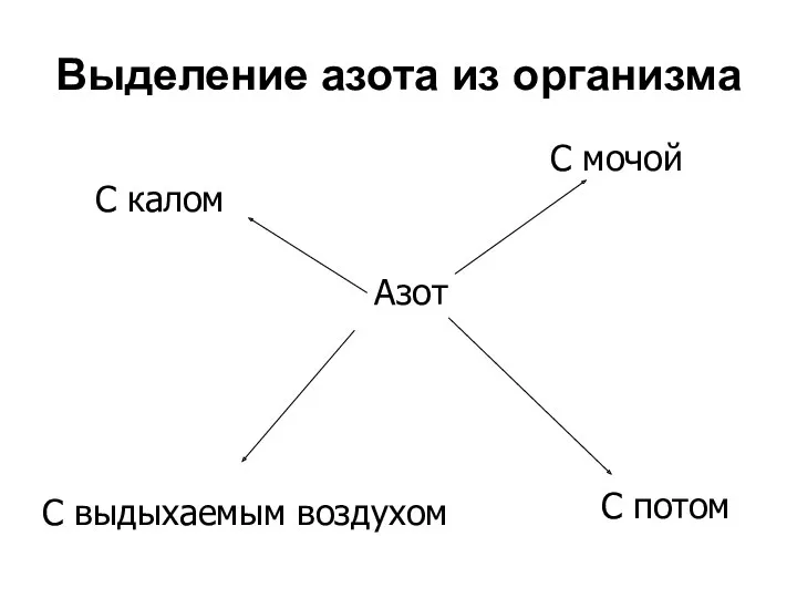 Выделение азота из организма Азот C мочой C калом C потом C выдыхаемым воздухом