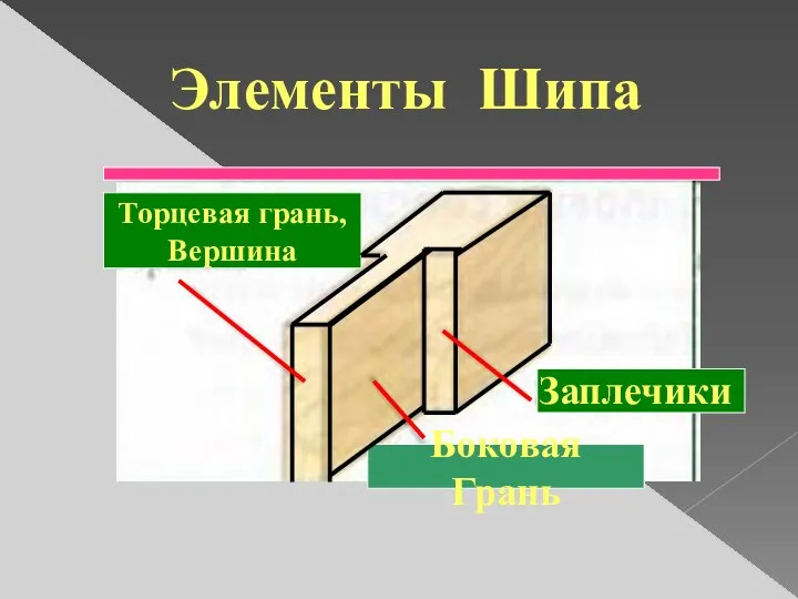 Элементы Шипа Заплечики Боковая Грань Торцевая грань, Вершина