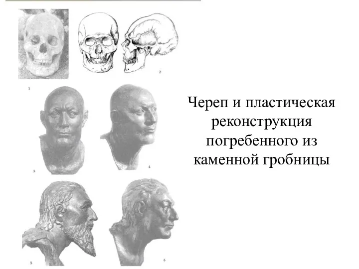 Череп и пластическая реконструкция погребенного из каменной гробницы