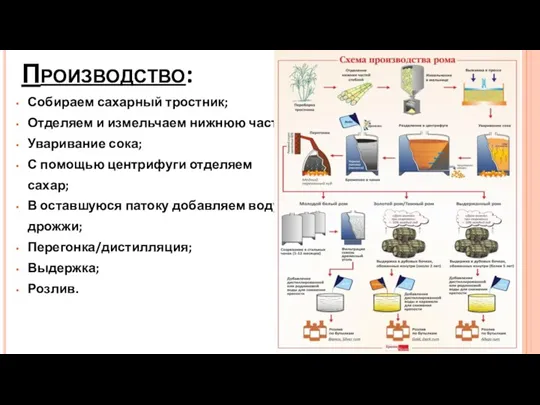 Производство: Собираем сахарный тростник; Отделяем и измельчаем нижнюю часть; Уваривание