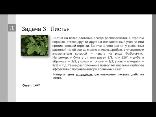 Задача 3 Листья Листья на ветке растения всегда располагаются в