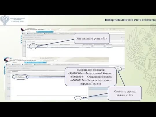 Выбор типа лицевого счета и бюджета Код лицевого счета «71»