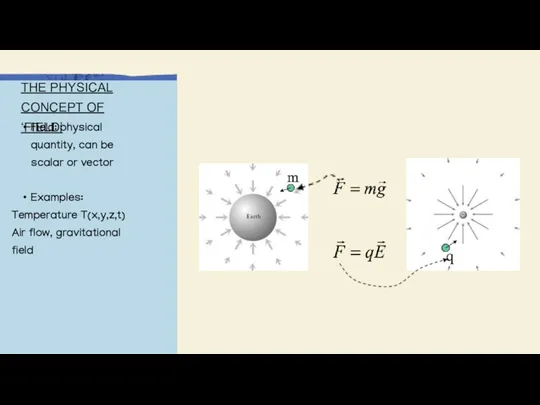 THE PHYSICAL CONCEPT OF ‘FIELD’ Field: physical quantity, can be scalar or vector