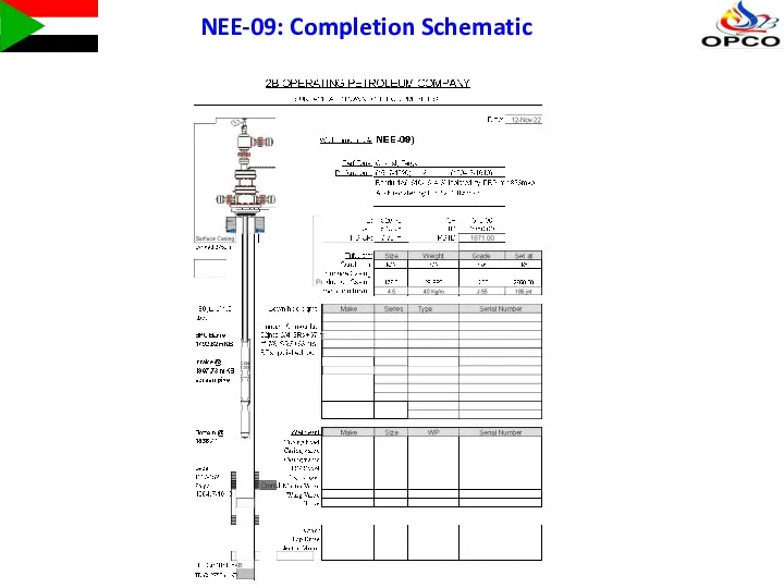 NEE-09: Completion Schematic