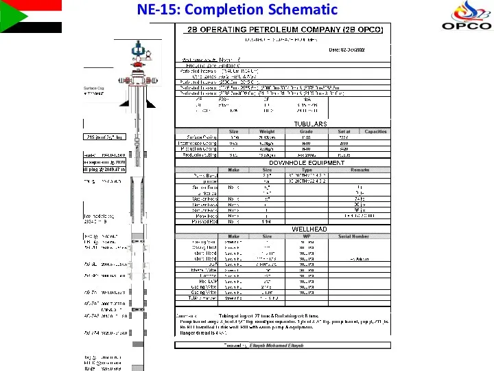 NE-15: Completion Schematic