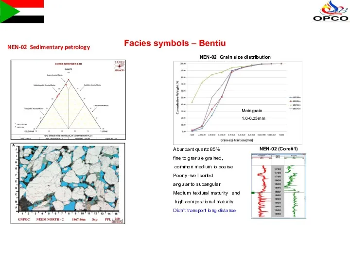 Facies symbols – Bentiu NEN-02 Sedimentary petrology Abundant quartz 85%