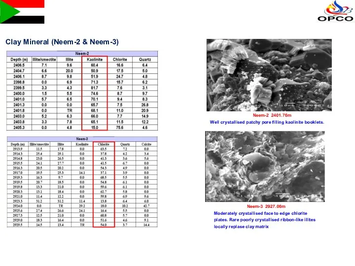 Neem-2 2401.76m Well crystallised patchy pore filling kaolinite booklets. Neem-3