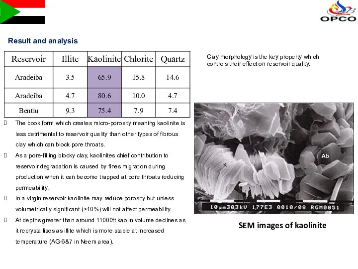 Clay morphology is the key property which controls their effect