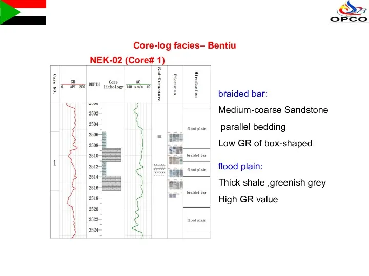 Core-log facies– Bentiu NEK-02 (Core# 1) flood plain: Thick shale