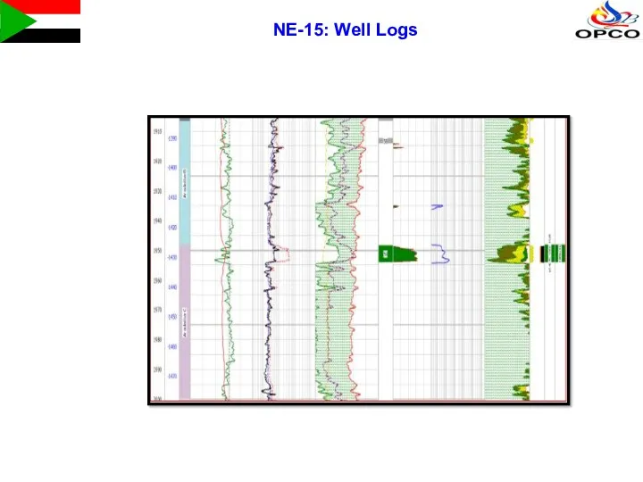 NE-15: Well Logs