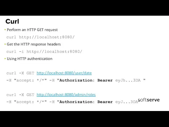 Perform an HTTP GET request curl http://localhost:8080/ Get the HTTP