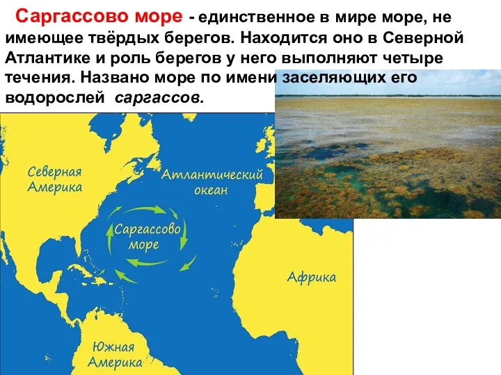 Саргассово море - единственное в мире море, не имеющее твёрдых