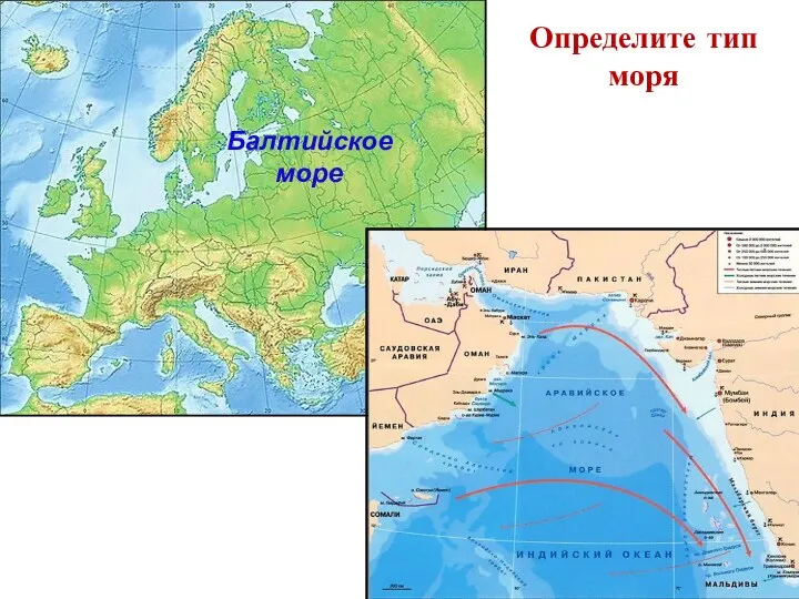 Балтийское море Определите тип моря